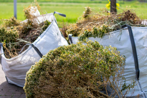 Best Construction Debris Removal  in Poquoson, VA